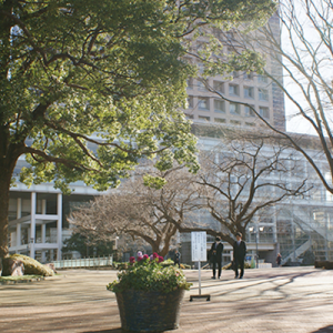 【中古】 日本大学（生物資源科学部〈獣医学科〉） ２００７/教学社 北里大学（未来工学部・獣医学部・海洋生命科学部）｜「赤本」の