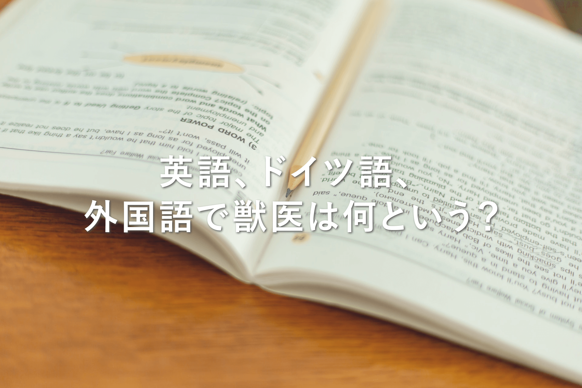 英語、ドイツ語、外国語で獣医は何という？