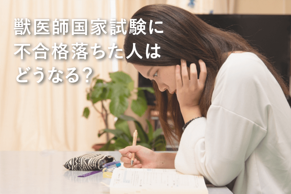 獣医師国家試験に不合格 落ちた人はどうなる？ | Pettie 獣医 大学