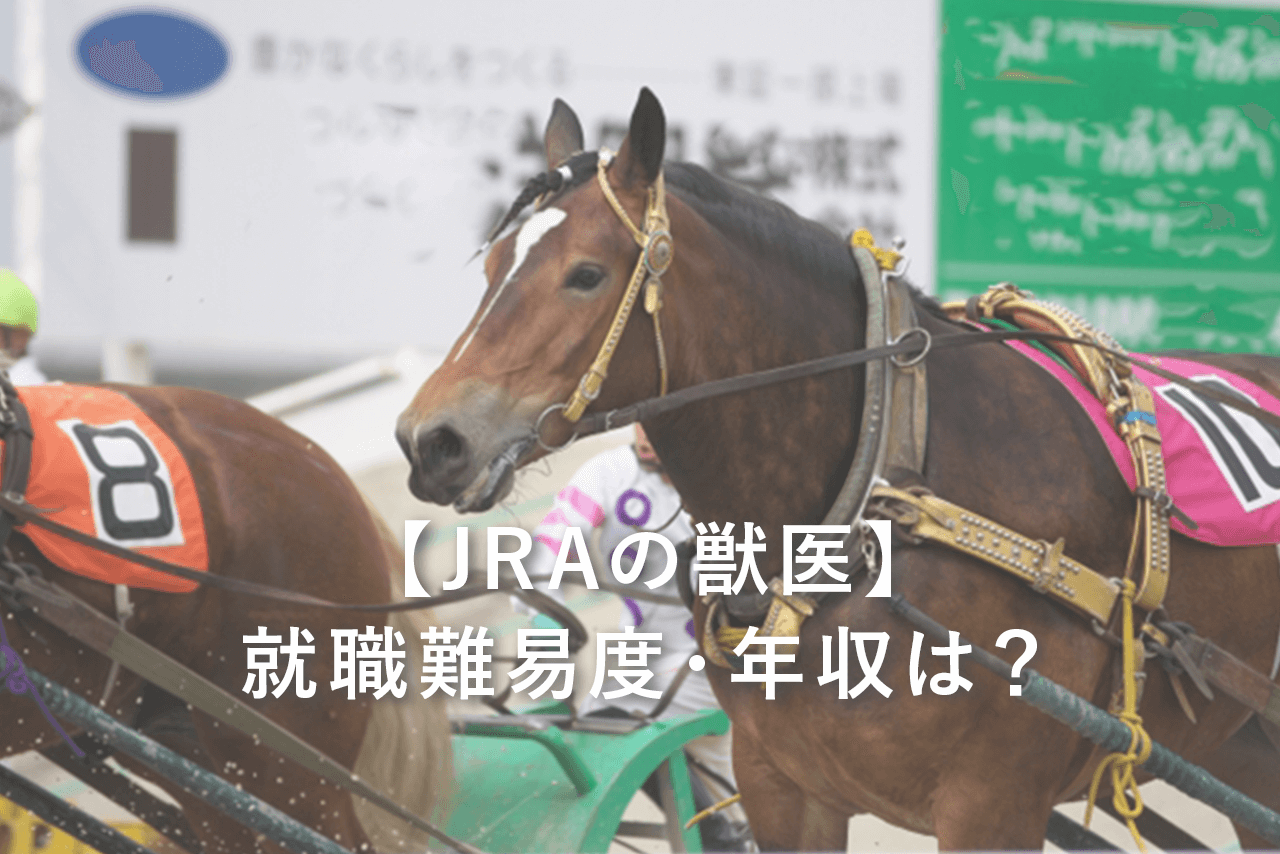 【JRAの獣医】就職難易度・年収は？