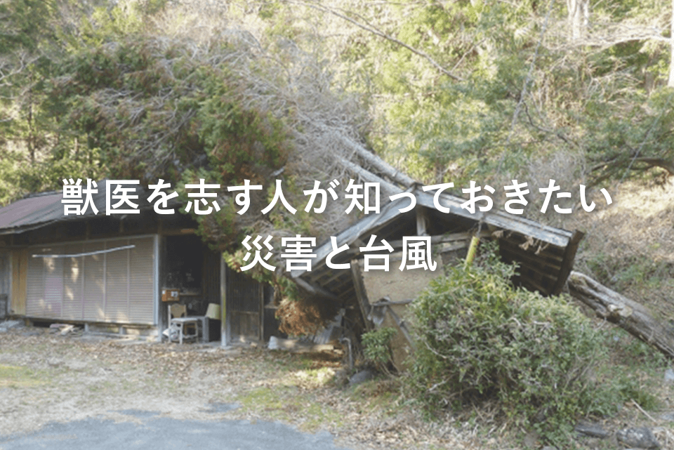 獣医を志す人が知っておきたい災害と台風