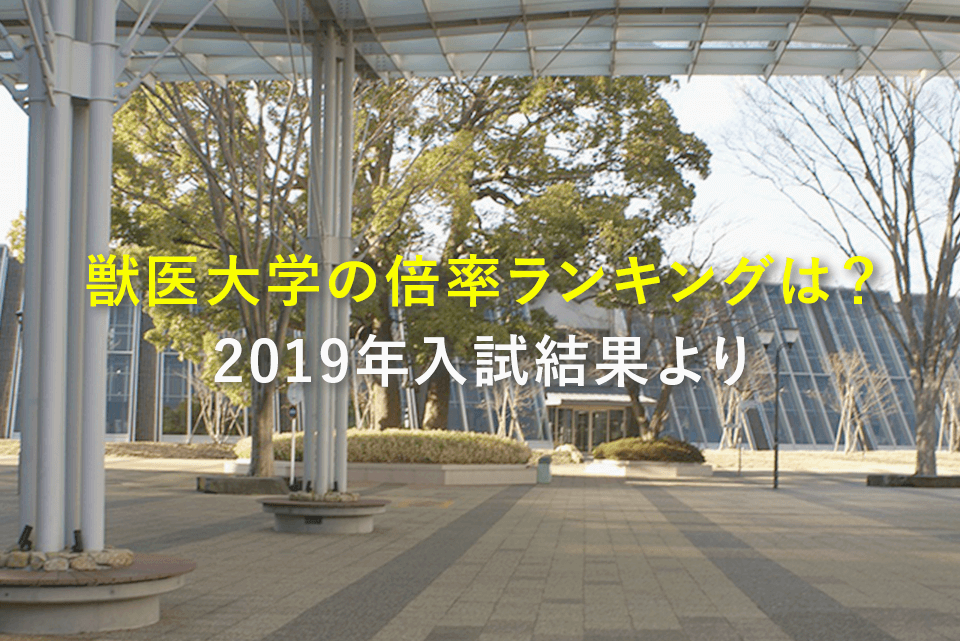 獣医大学の倍率ランキングは？2019年入試結果より