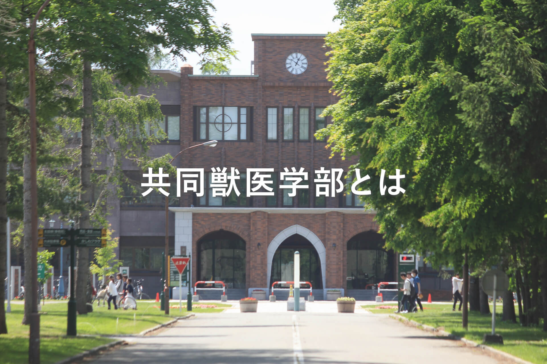 共同獣医学部とは
