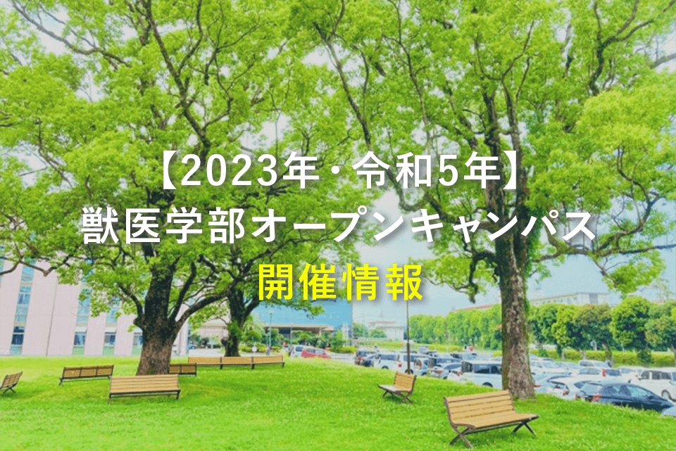 【2023年・令和5年】獣医学部オープンキャンパス開催情報