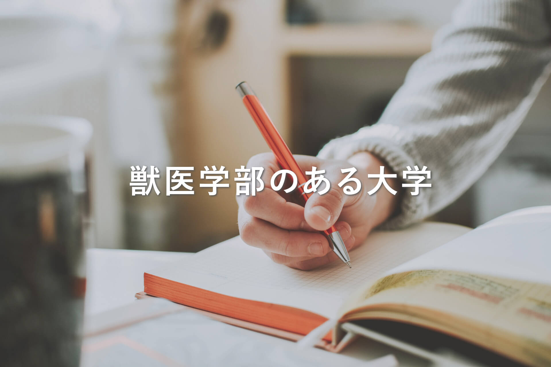 獣医学部のある大学