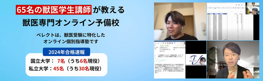 2024年【PR】獣医専門オンライン予備校ベレクト_2
