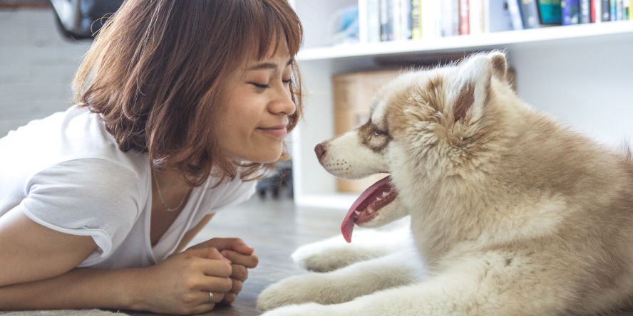 獣医師国家試験に不合格になった後に対応すべきこと