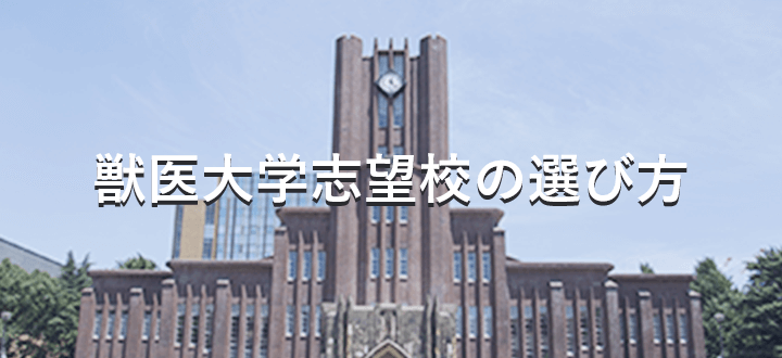 獣医大学志望校の選び方