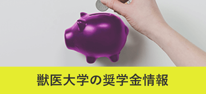 獣医大学の奨学金