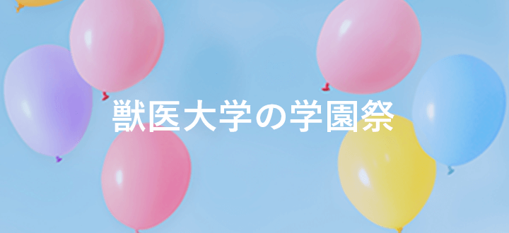 獣医大学の学園祭