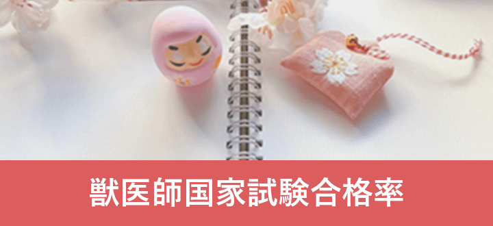 獣医師国家試験合格率