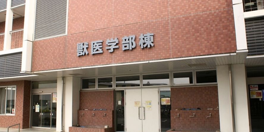 麻布大学獣医学部について