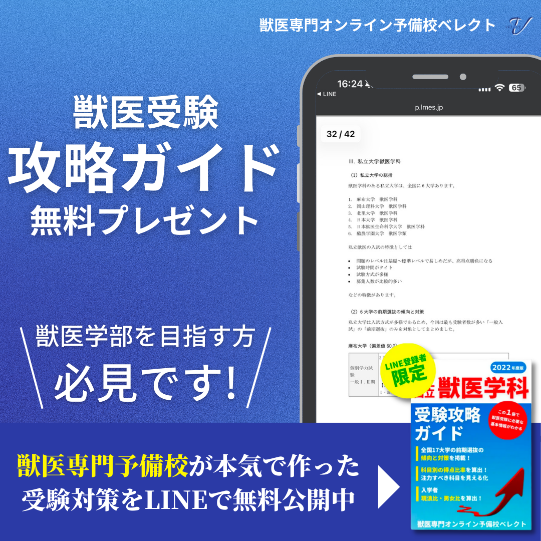 獣医専門オンライン予備校ベレクト