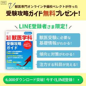 獣医専門オンライン予備校ベレクト